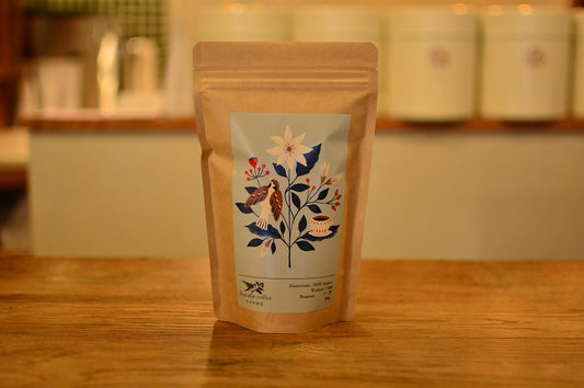 グァテマラ　SHB　アンティグア　中深