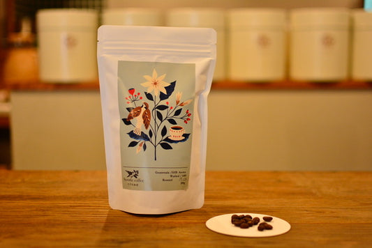 グァテマラ　SHB　アゾテア農園